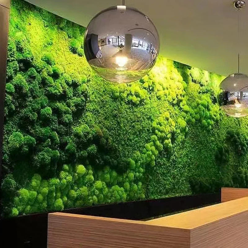 Custom Natural Moss Wall Panels for Home and Office